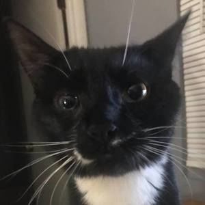 Meet your Posher, Timothy